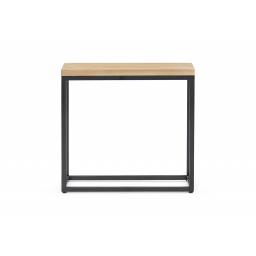 Carter Rectangular Side Table Neptune.png