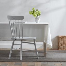 Wardly Painted Dining Chairs 4.jpg